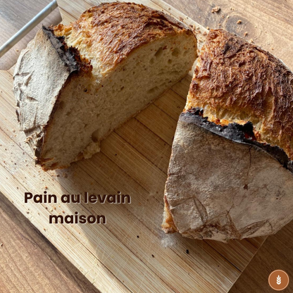 Levain Déshydraté Authentique