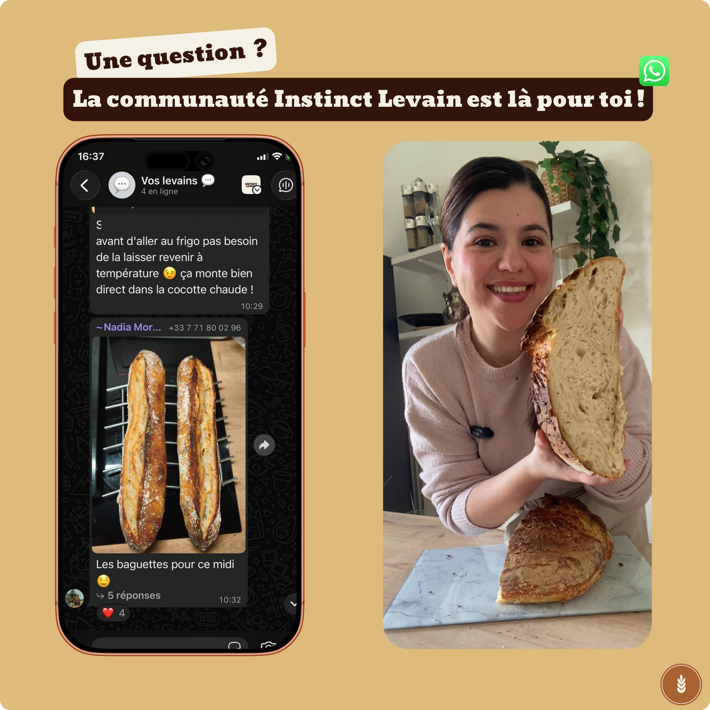 Levain Déshydraté Authentique