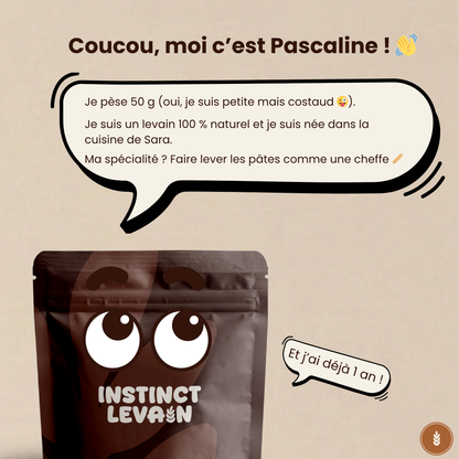Box Je Réussis Mon Levain