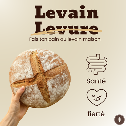 Pain au levain maison artisanal avec croûte dorée, illustrant les bienfaits pour la santé et la fierté de faire son propre pain sans levure.
