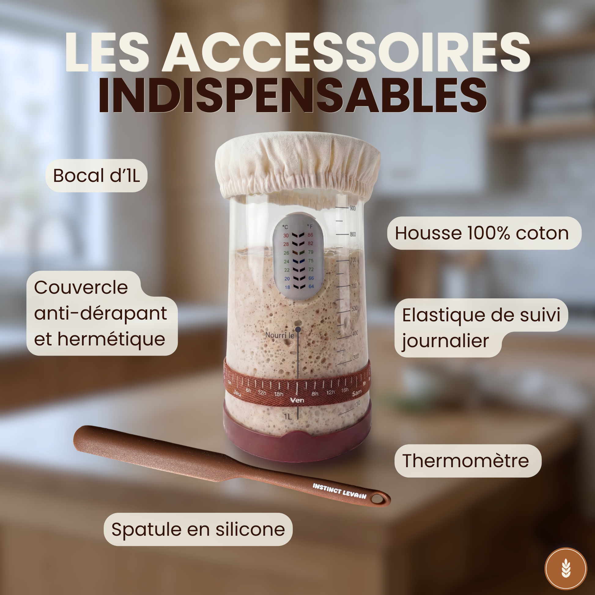 Pain au levain maison : infographie sur les bienfaits santé et la fierté de cuisiner sans levure.