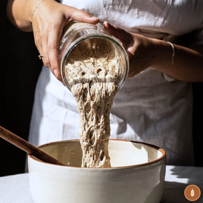 Levain Déshydraté Authentique