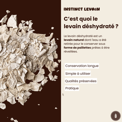 Levain naturel déshydraté Instinct Levain sous forme de paillettes : conservation longue et simple à utiliser.